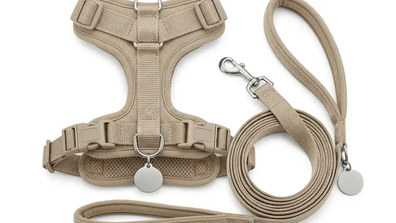 Accesorios y juguetes para mascotas